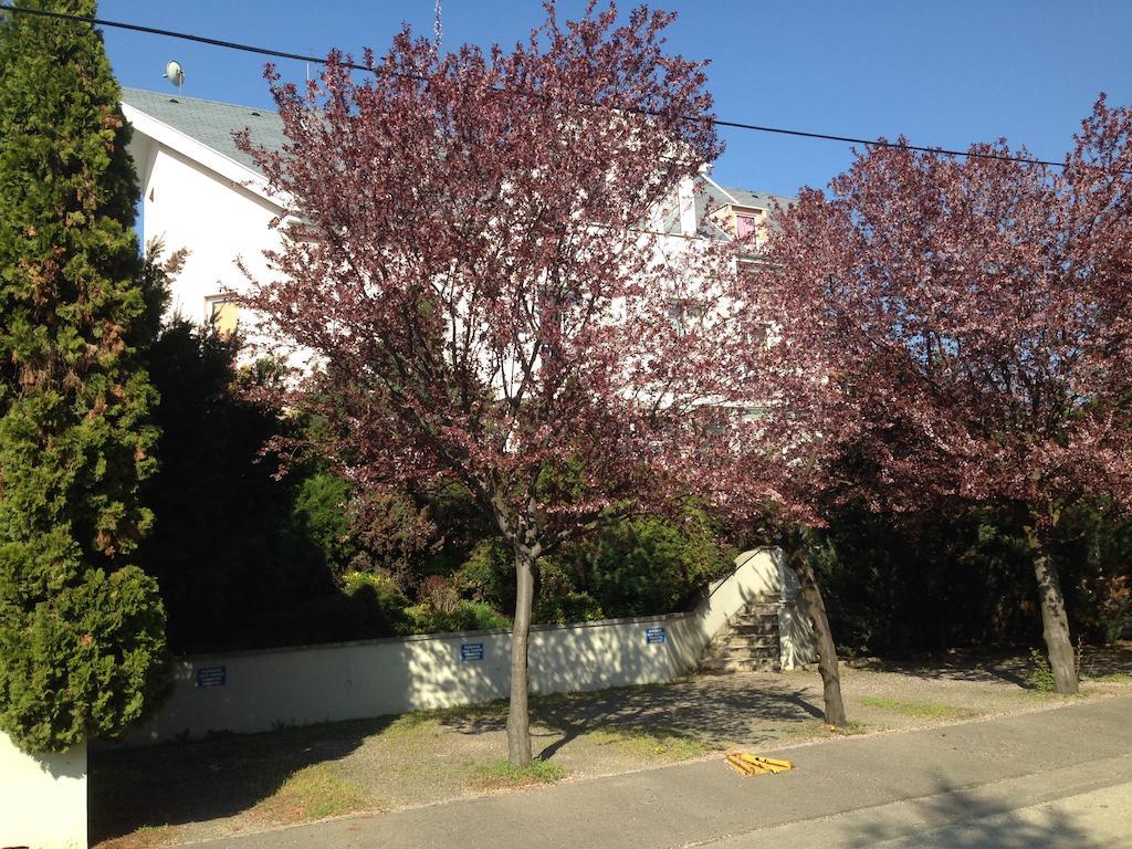 Bed and Breakfast Belle Fleur Panzio Budapest Exterior foto